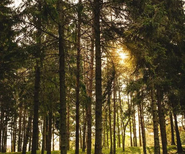 Ungru 3* Suuresadama