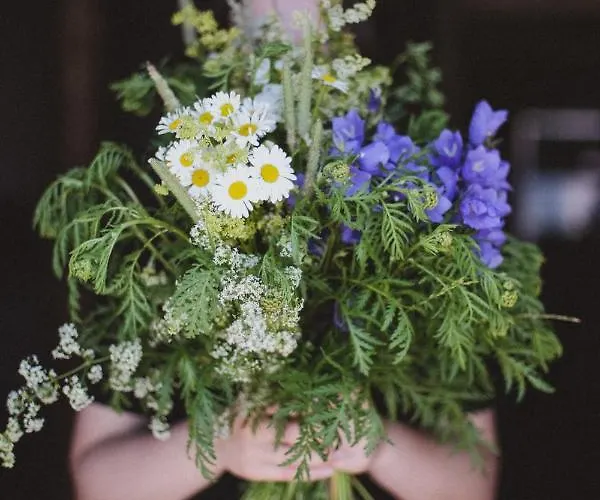 Ungru Pensjonat Suuresadama