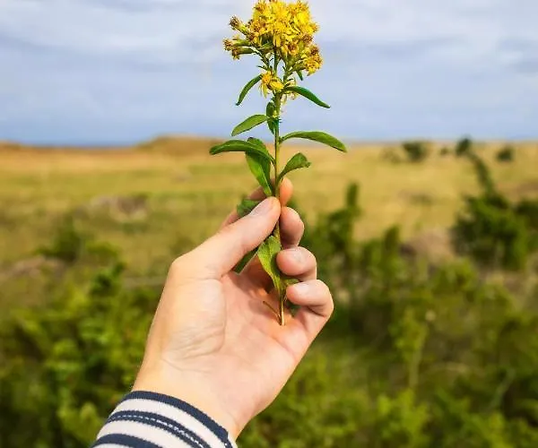 Ungru Gasthof Suuresadama