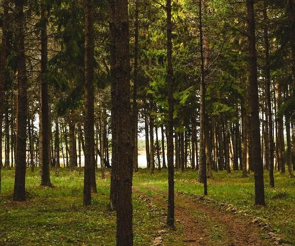 Ungru Gasthof Suuresadama