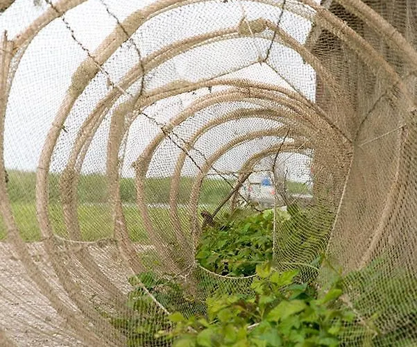 Ungru Pensjonat Suuresadama