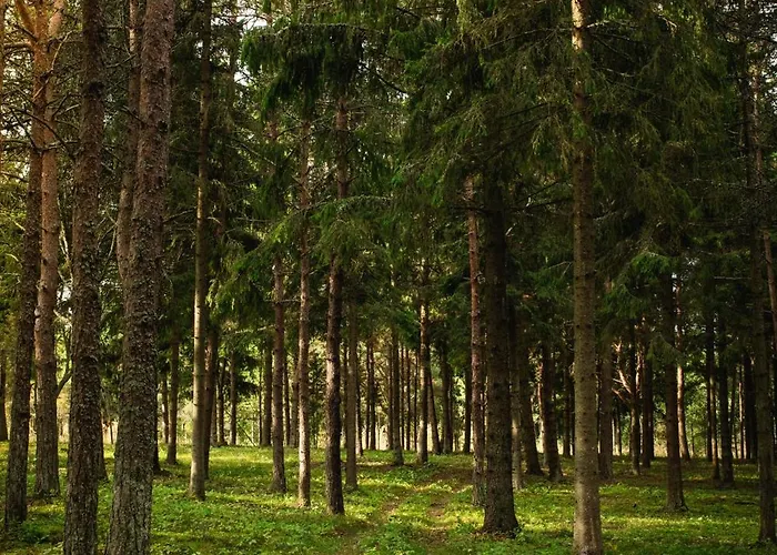 Ungru 3* Suuresadama